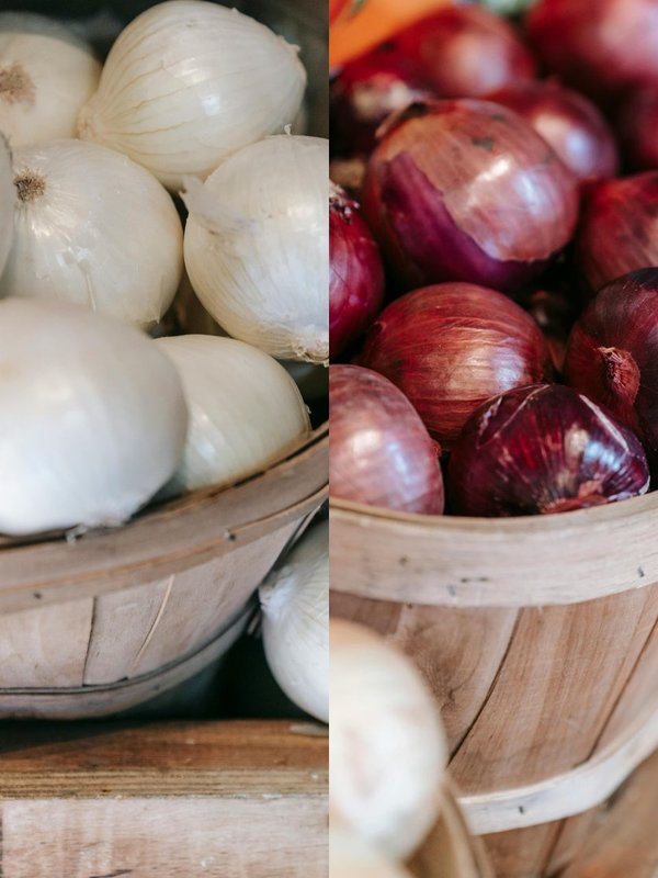 red onion or white onion which is better