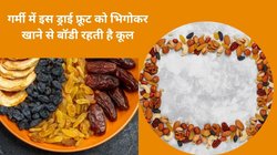 पोषक तत्वों का पावरहाउस है ठंडी तासीर का ये 1 ड्राई फ्रूट, गर्मी में रखता है ठंडा, बॉडी को मिलते हैं गज़ब के फायदे