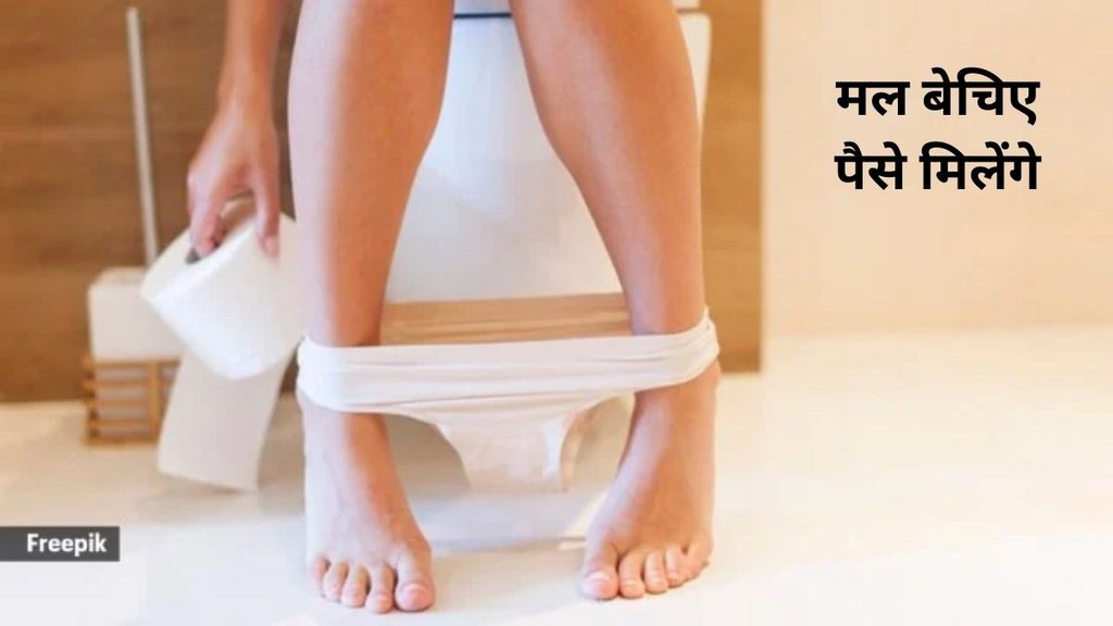 Fecal Microbiota Transplant (FMT), Gut Microbiome, Mental Health, Bipolar Disorder, Depression, Human Microbes, Dr. Sreehari Deshmukh, Microorganisms, Translational Psychiatry, Frontiers in Psychiatry, Gut Dysbiosis,