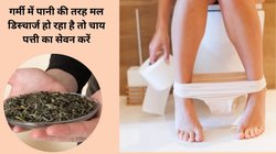 गर्मी में डायरिया का बढ़ सकता है खतरा, चाय की कुछ पत्तियों को निगल जाएं, तुरंत लग जाएगा बीमारी पर टांका