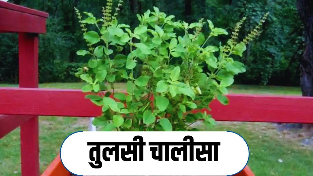Tulsi Chalisa In Hindi, Tulsi Chalisa