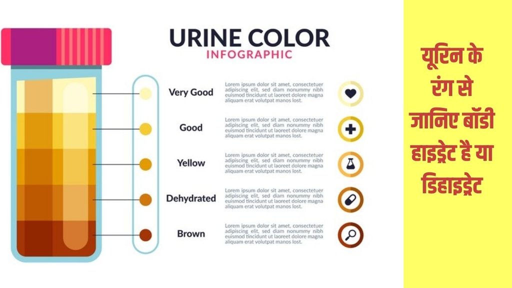Urine color, dehydration symptoms in urine, Urine color,Indian summer heat, dehydration,