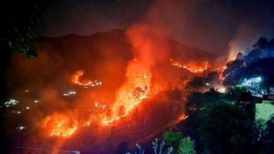 uttarakhand forest fire, uttarakhand forest fire death toll,
