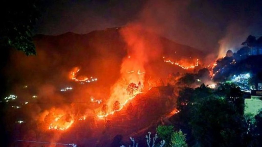 uttarakhand forest fire, uttarakhand forest fire death toll,