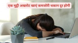 बॉडी की फिटनेस के लिए जान है omega-3, शाकाहारियों के लिए इन फूड से दूर हो जाती है वीकनेस, अंग-अंग में भर जाती है एनर्जी