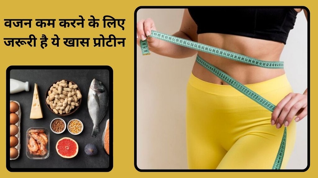 What are the best protein choices for summer? protein diet, protein diet benefits, protein diet news, health and wellness, protein diet for weight loss, weight loss tips,वजन कम करने में प्रोटीन डाइट कैसे असरदार है