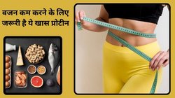 वजन कम करने के लिए रोजाना कितना Protein का सेवन करना है जरूरी, गर्मी में Fat कम करने के लिए देखिए प्रोटीन रिच फूड लिस्ट