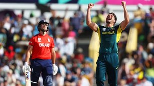 AUS vs ENG, David Warner. Travis Head, T20 World Cup
