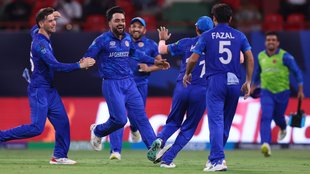 AFG vs AUS, Afghanistan Qualify Chances In T20 World Cup 2024, Afghanistan Beat Australia in T20 World Cup 2024 Super 8 Match,
