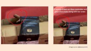 amazon package, bengaluru couple finds live cobra in amazon package