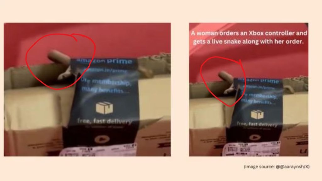 amazon package, bengaluru couple finds live cobra in amazon package amazon package, bengaluru couple finds live cobra in amazon package