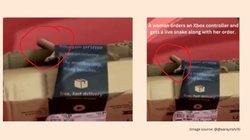 Amazon पैकेज में निकला जिंदा कोबरा, जहरीले सांप के ऊपर चिपके टेप पर लिखी थी ये बात, देखते ही कपल की…