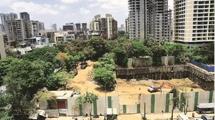 Blog, urbanisation, threat to nature, Environment