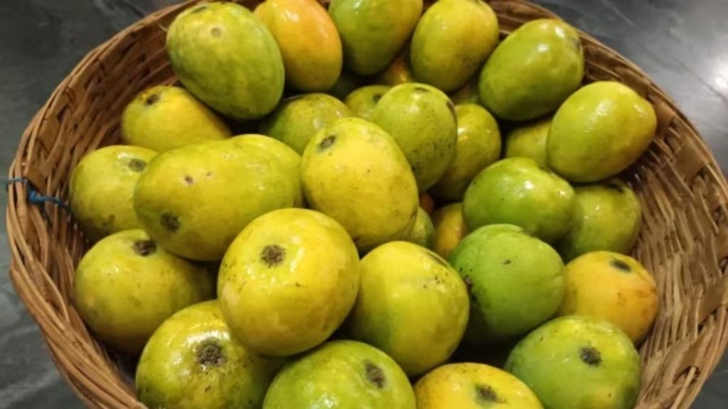 Calcium Carbide Mangoes | Fake mangoes