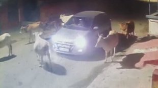 Car Drive, Car Accident, Bilaspur, Chhattisgarh, Viral Video, Video Viral