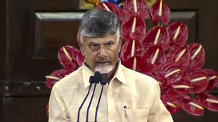 Chandrababu naidu | Lok Sabha Chunav 2024 | BJP