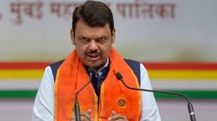 Lok Sabha Results | BJP | India Alliance | Devendra Fadnavis