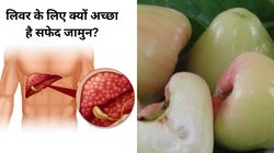 फैटी लिवर में क्यों खाना चाहिए सफेद जामुन? अगर आपको भी है ये परेशानी तो जरूर जान लें ये बात