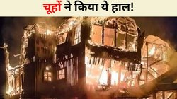 ब‍िहार में चूहों ने पी थी शराब, अब बंगाल में जला द‍िया बंगला!
