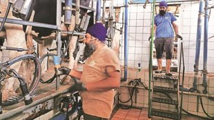 Indians in Italy | Indian Migrants Workers in Italy
