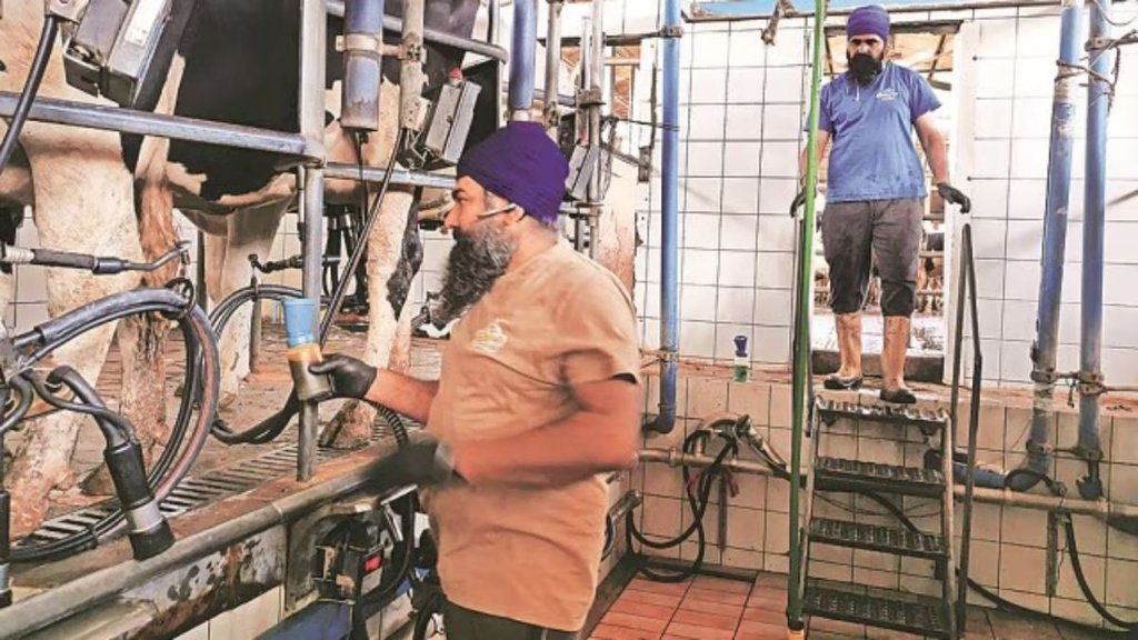 Indians in Italy | Indian Migrants Workers in Italy