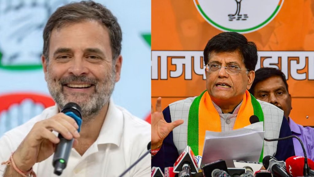 Lok Sabha Chunav 2024 | Rahul Gandhi | Congress