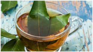bay leaf tea in hindi