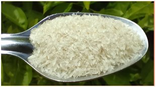 Morning Mantra isabgol with chach benefits