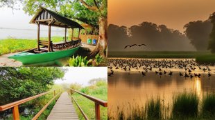 best picnic spots in delhi for picnic