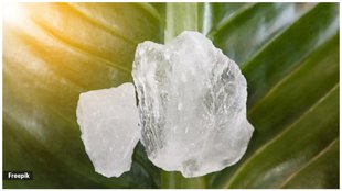 fitkari for teeth whitening