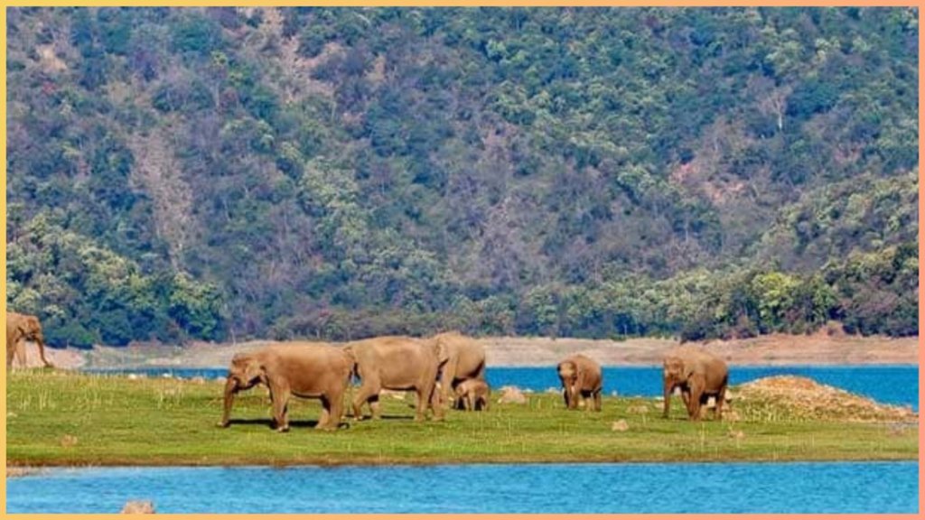 places to visit near delhi within 250 kms