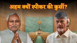 Lok Sabha Chunav | NDA | BJP | Nitish Kumar | Chandrababu Naidu