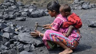 NFI | Coal | Report | marginalized society