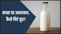 World Milk Day 2024: कच्चा या उबाला हुआ, दूध को किस तरह पीना है सेहत के लिए ज्यादा फायदेमंद?