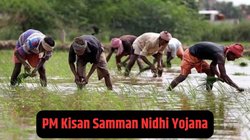 PM Kisan Yojana 17th Installment Today: पीएम मोदी आज जारी करेंगे किसान सम्मान निधि की 17वीं किस्त, ऐसे करें चेक
