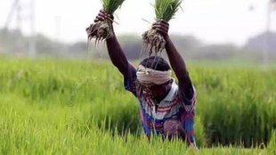 Pm kisan yojana, pm kisan samman nidhi yojana, pm kisan yojana 17th installment