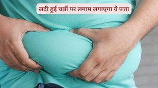 betel leaf, weight loss, digestion, betel leaf helps with weight loss, paan and weight loss,weight loss tips,weight loss diet, weight loss leaf,पान,वेट लॉस