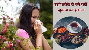best home remedies to get rid of bad cold, summer cold and caugh, Summer cold Symptoms, allergies, summer cold remedies, गर्मी में सर्दी जुकाम क्यो होता है, गर्मी में सर्दी जुकाम का इलाज, सर्दी जुकाम के लिए घरेलू उपचार,