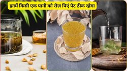 आप 5 तरह के पानी का करें सेवन तो पाचन हो जाएगा हेल्दी, वजन रहेगा कंट्रोल, ओवर ऑल हेल्थ भी होगी दुरुस्त