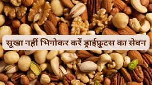 Summer snacks, dried fruits, Dr. Ranga Santosh Kumar, hydration, nutrient absorption, digestion, almonds, pistachios, cashews, walnuts, raisins,