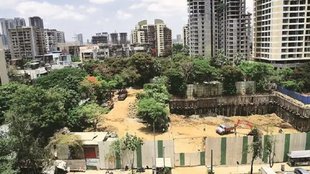 environment and nature