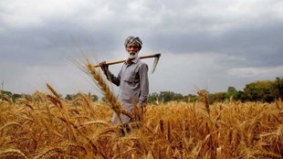 farmers trouble