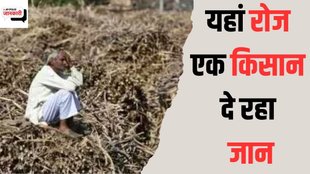 farmers suicide| maharashtra farmers suicide