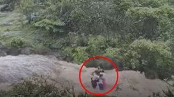 एक ही परिवार के बह गए 5 लोग, 3 की मौके पर ही मौत, लोनावाला बांध के पास हादसा