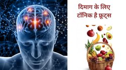 Fruits For Brain Health: दिमाग को धारदार बनाना चाहते हैं रोजाना इन 5 फ्रूट्स का करें सेवन, बुढ़ापे तक याददाश्त रहेगी दुरुस्त