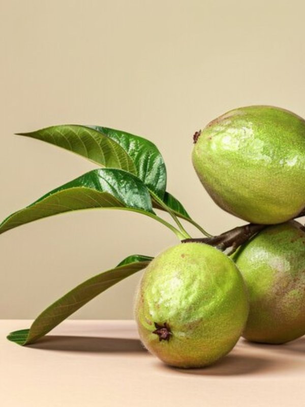 Guava Leaves,Guava Leaves benefits,guava leaves benefits in hindi