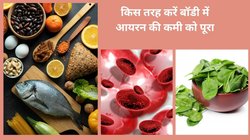 उम्र के हिसाब से बॉडी में कितना होना चाहिए आयरन, पालक इसमें कितना कारगर, देखिए चार्ट और समझ लीजिए गणित