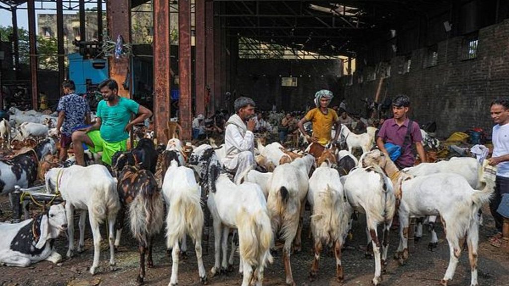 jain community, muslim, save goat