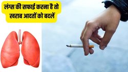Lungs Detoxify: सिगरेट और तंबाकू के बिना नहीं बनता काम, इस खास तरीके को अपना लें, फेफड़े की गंदगी हो जाएगी क्लीन