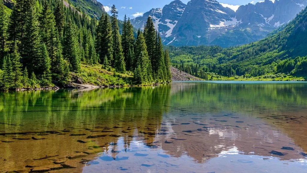nature